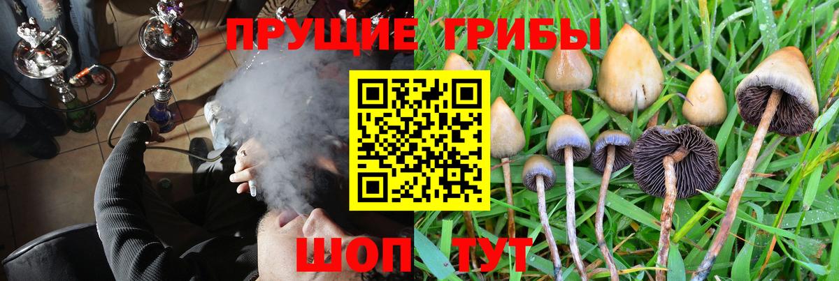 Элиста  Галлюциногенные грибы MAGIC MUSHROOMS  Псилоцибиновые грибы ЛСД  Вход с VPN 